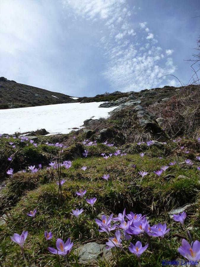 B&B Gennargentu Fonni Eksteriør bilde